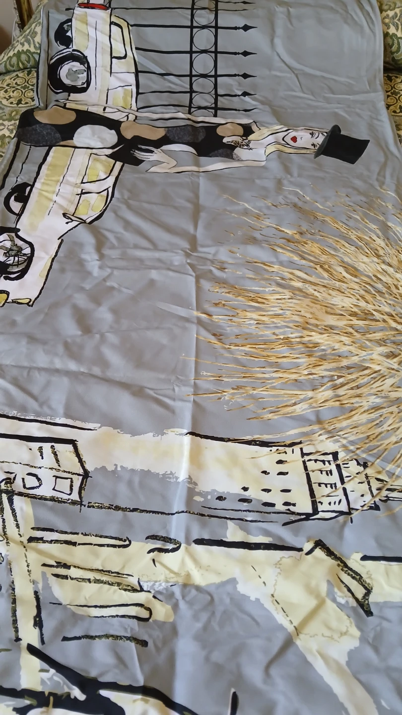 Banner or curtain for $5.00 each