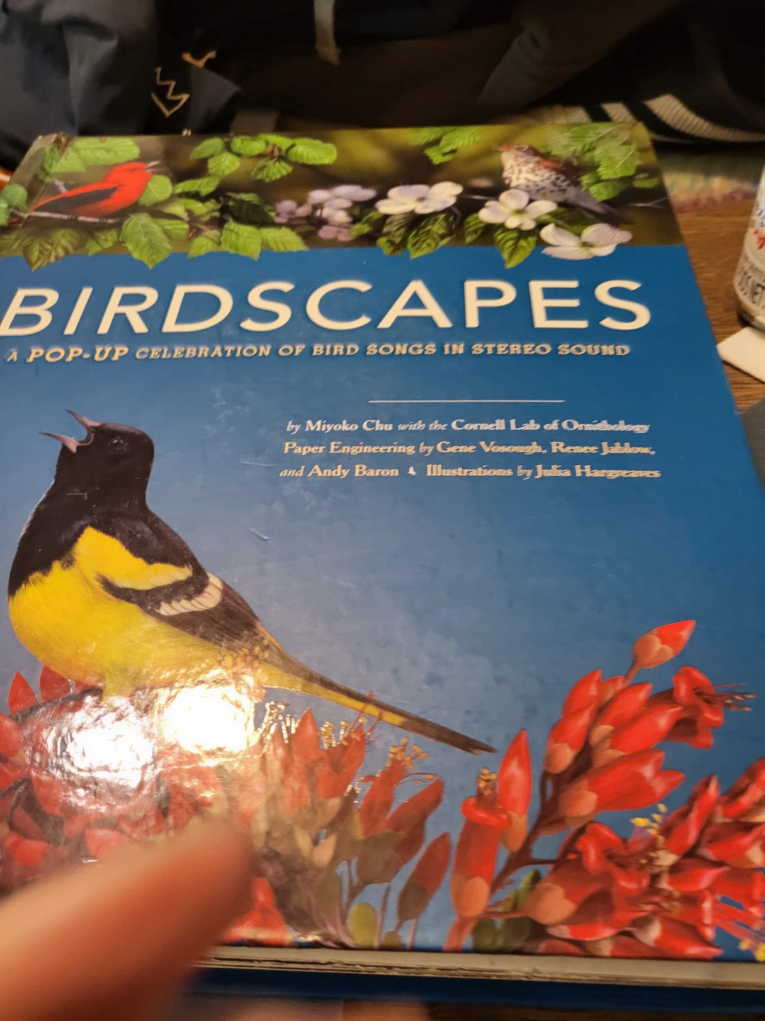 A Pop-Up Celebration of Bird Songs in Stereo Sound Book