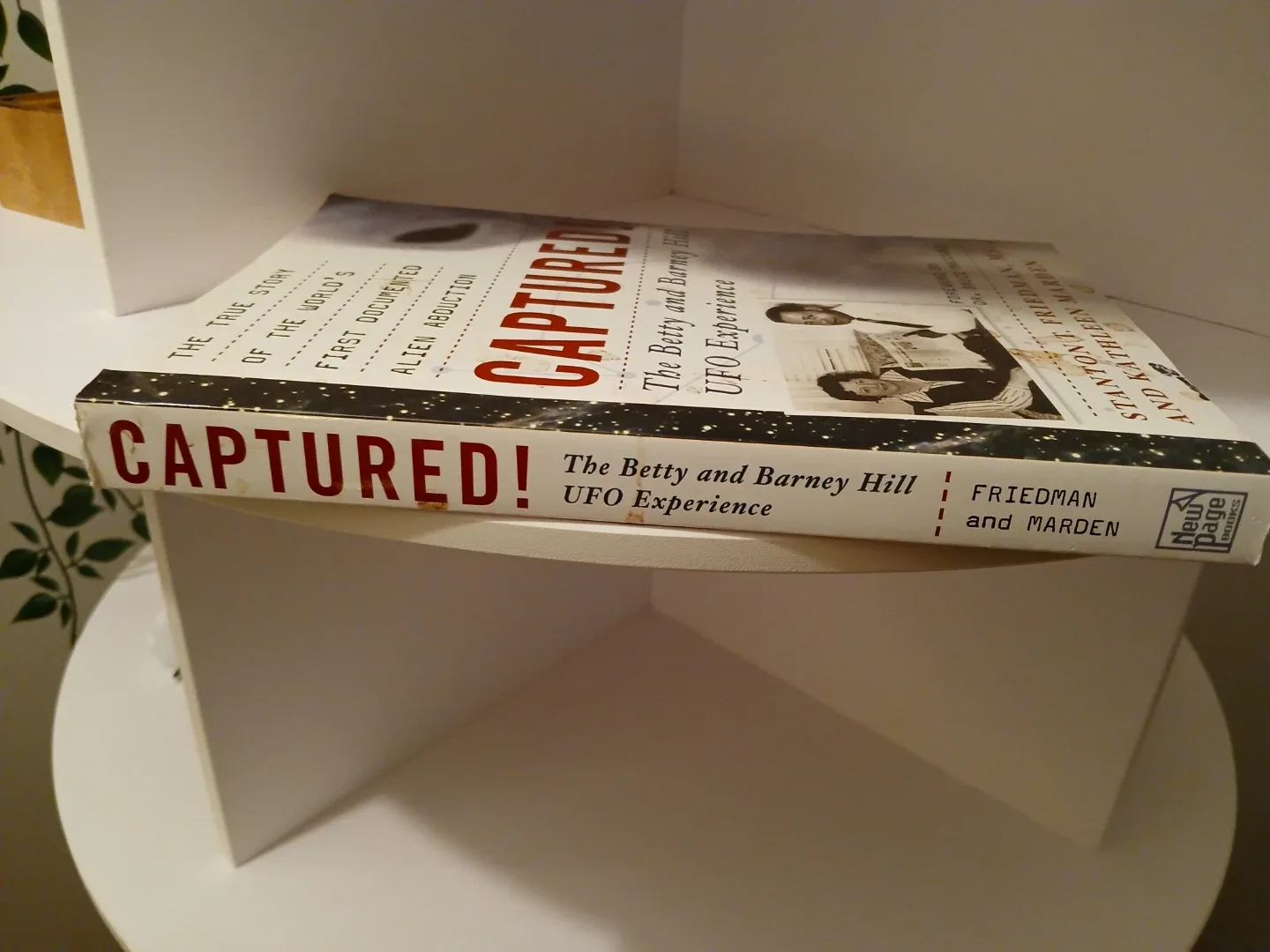 CAPTURED! The Betty and Barney Hill UFO Experience Book - photo 2