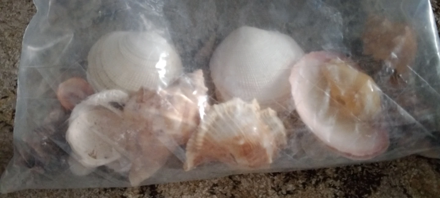 Craft Supplies Bundle with Seashells and Felt Sheets - photo 2