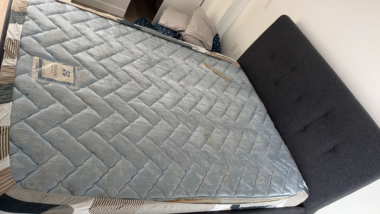 FREE Queen Mattress