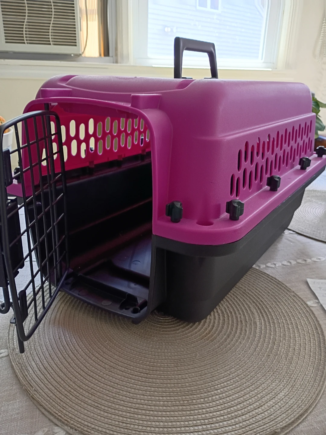 Pink Pet Carrier