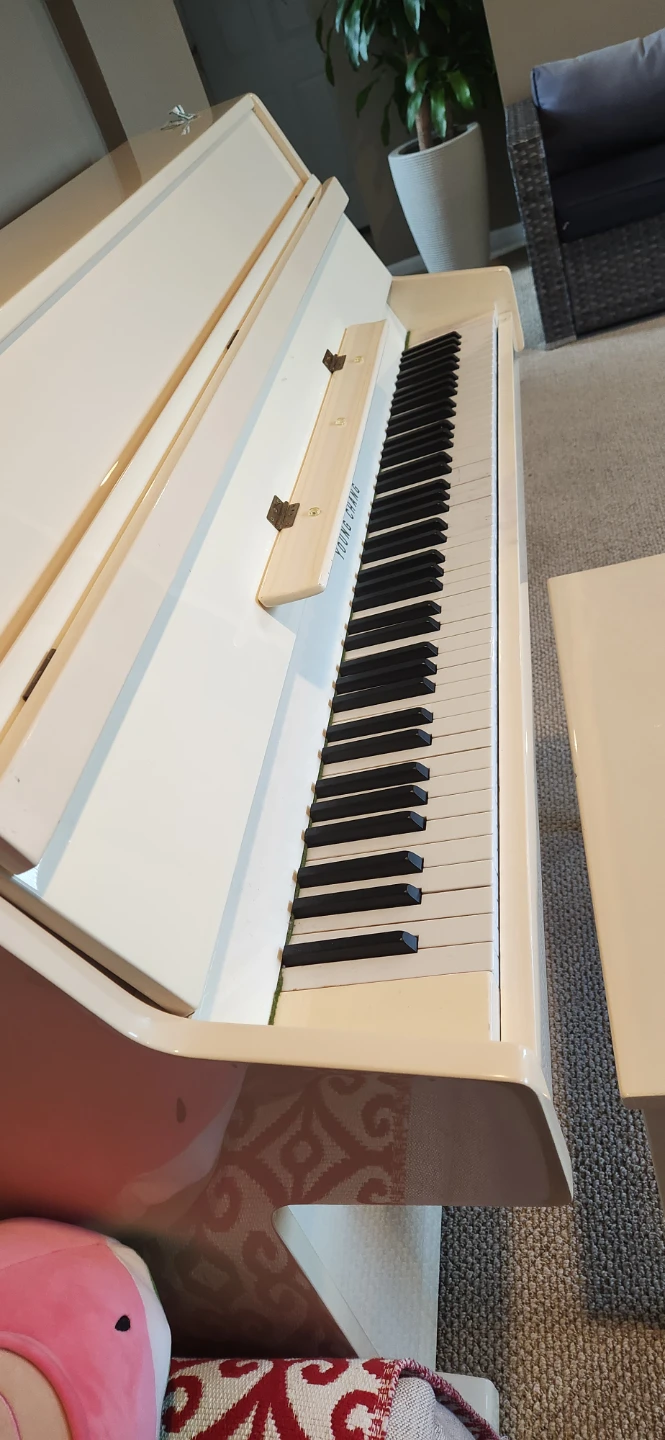 Ivory young change piano - photo 4