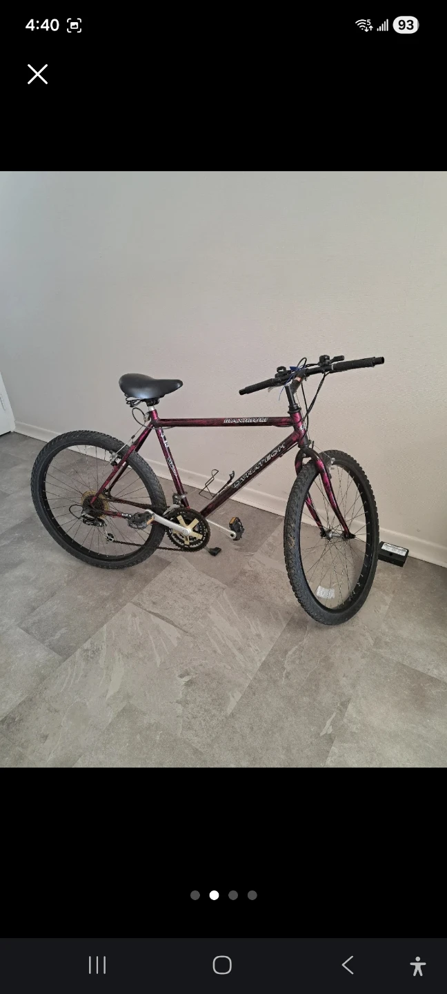Dynatech Mountain Bike