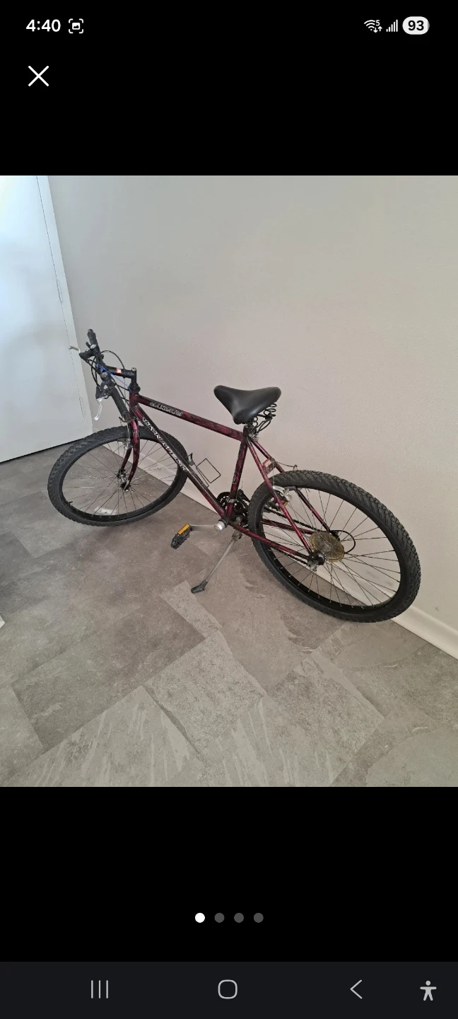 Dynatech Mountain Bike - photo 4