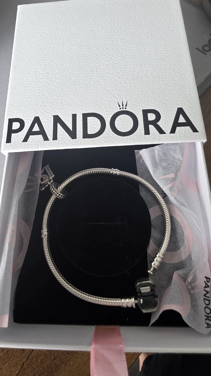 Pandora Silver Charm Bracelet with Clasp
