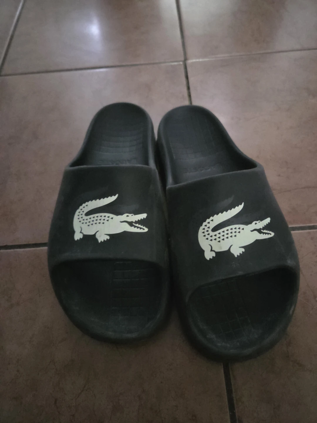 Lacoste Slides Sandals Black