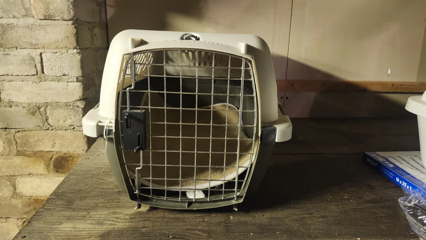 Pet Taxi Pet Carrier - photo 2
