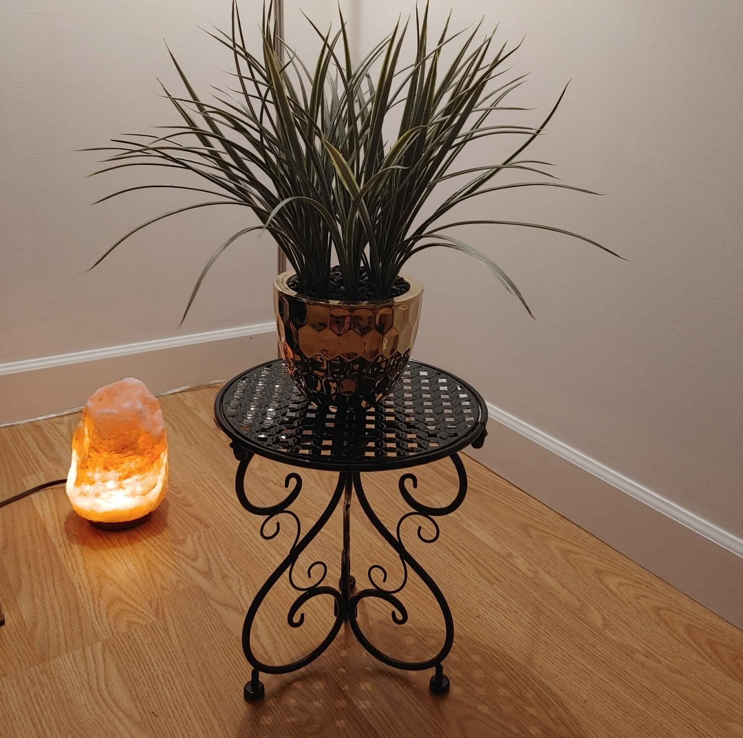 Black Metal Plant Stand