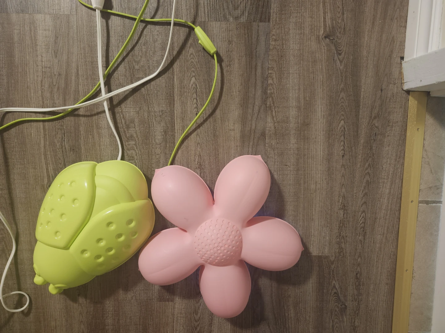 Plastic Ladybug and Flower Lights