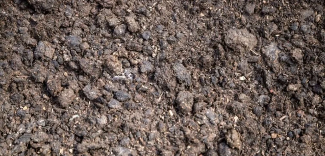 Cow manure, horse manure ,chicken manure , mushroom manure