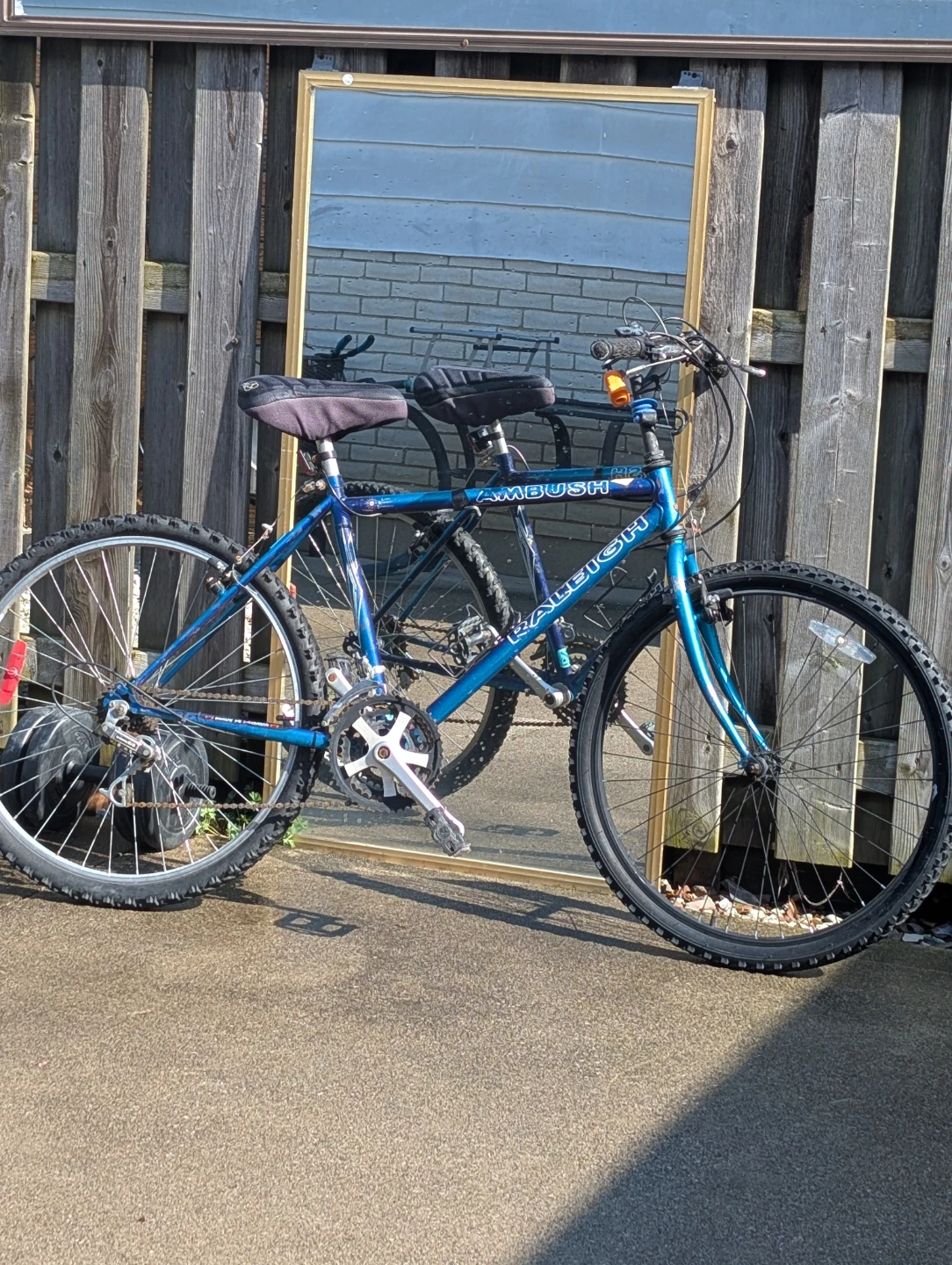 Raleigh Ambush Mountain Bike