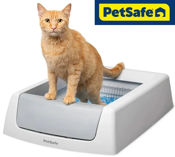 PetSafe ScoopFree Litter Box 🐈 Litter Box 🐾