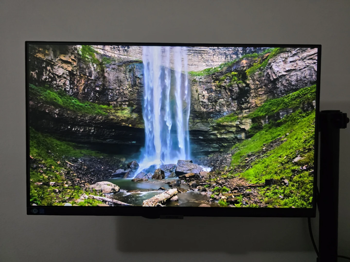 Samsung 24" 2560 x 1440 USB-C Monitor