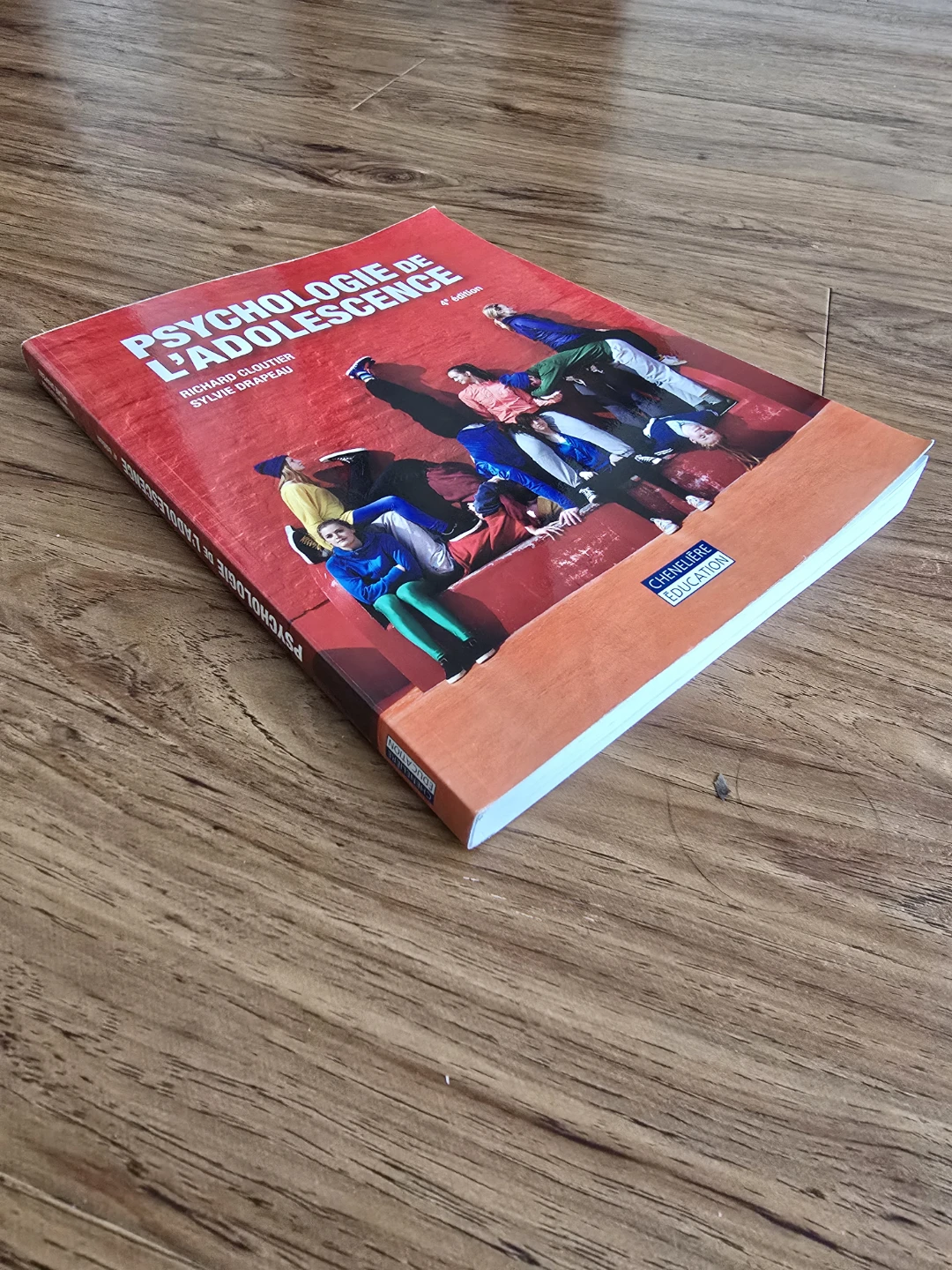Psychologie de l'adolescence (4e édition) - photo 2