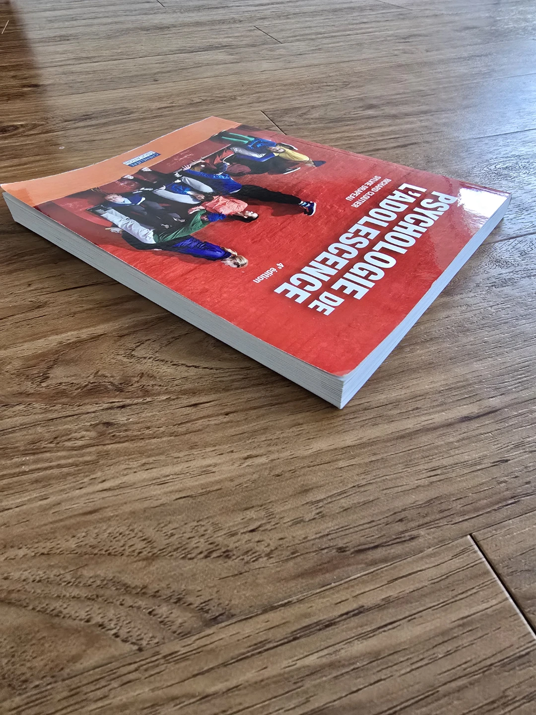 Psychologie de l'adolescence (4e édition) - photo 3