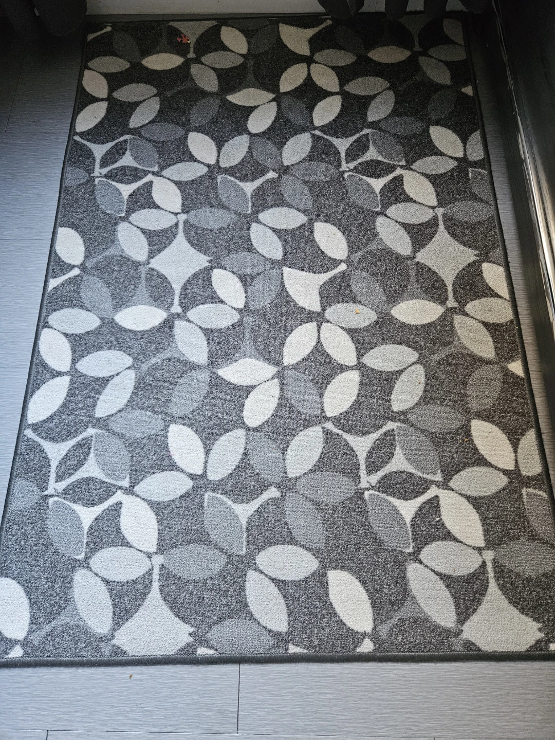Area Rug with Leaf Pattern size 3×5