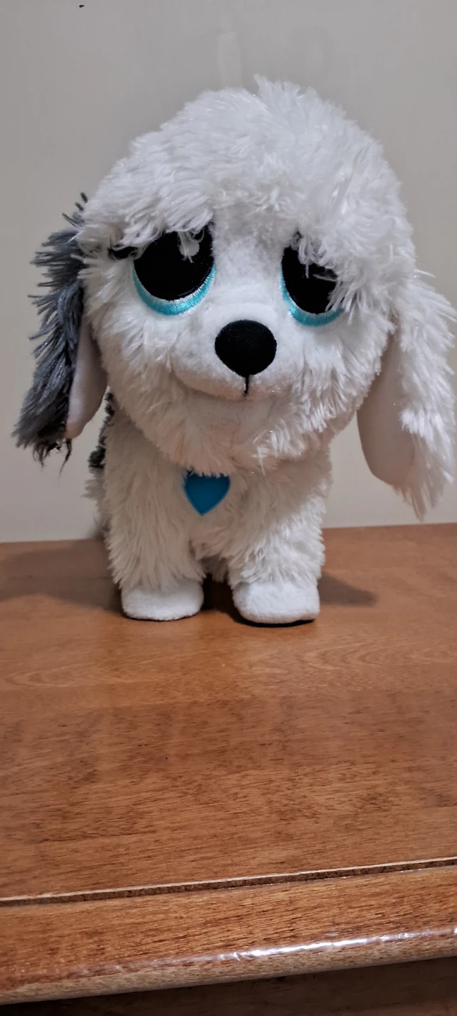 Plush Dog Toy