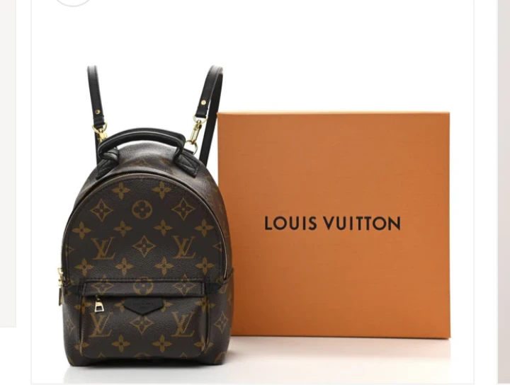 Louis Vuitton Monogram Palm Springs Mini Backpack - photo 4