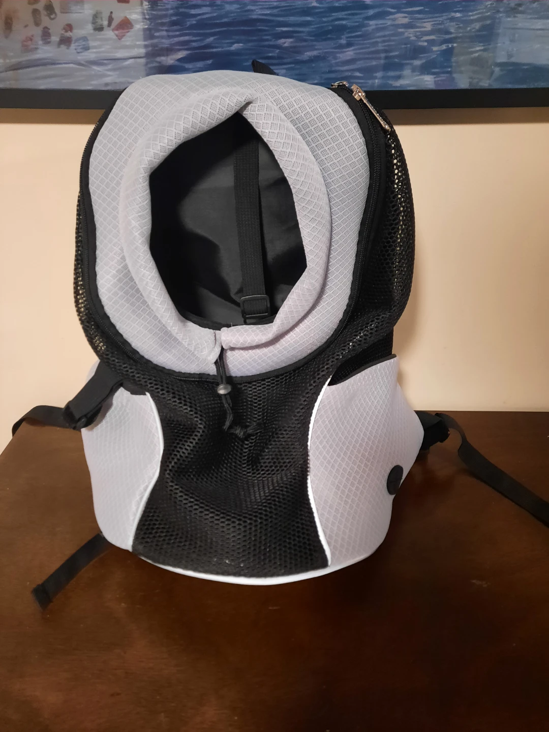 Black and Grey Pet Carrier Backpack