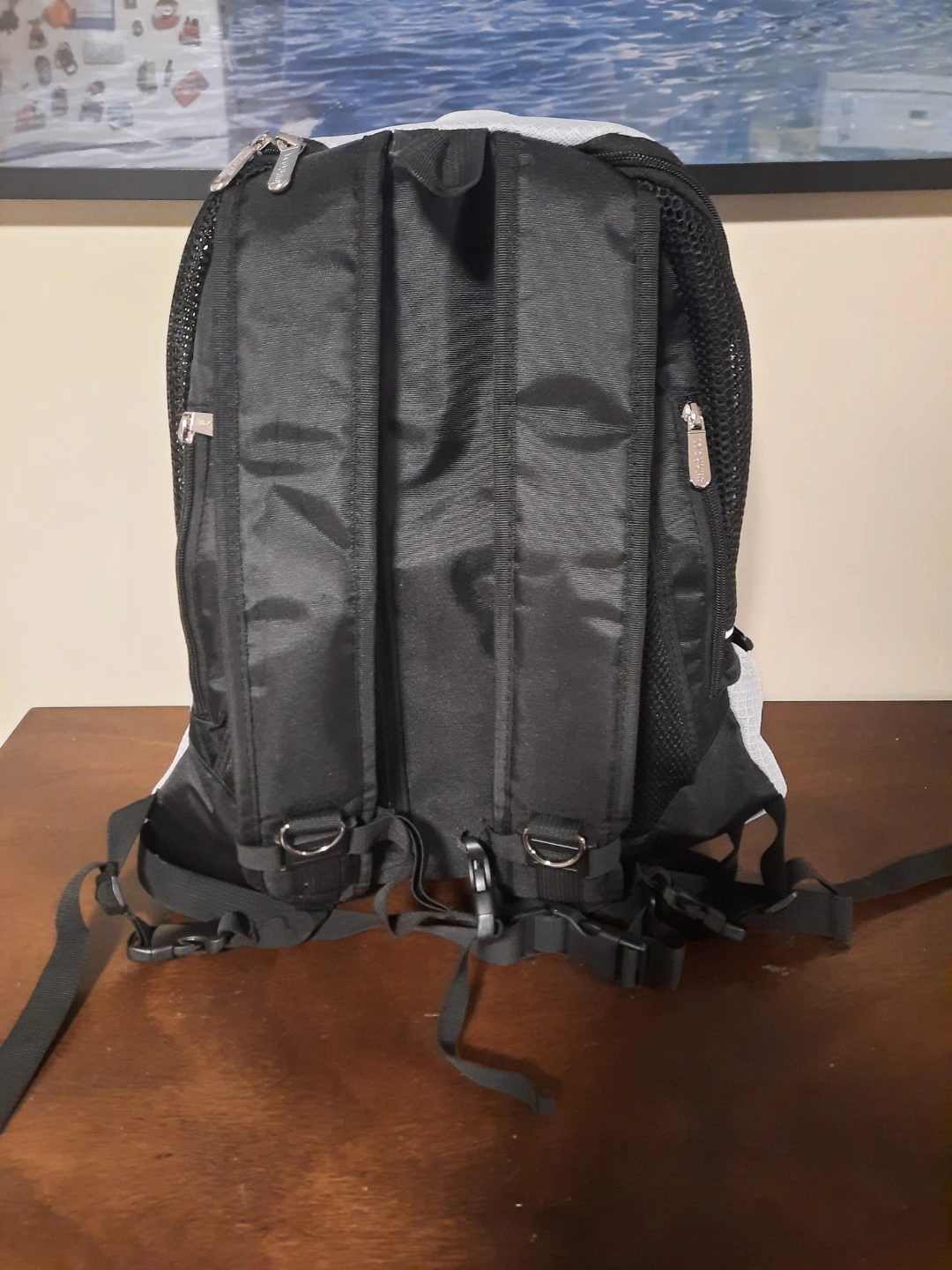 Black and Grey Pet Carrier Backpack - photo 2