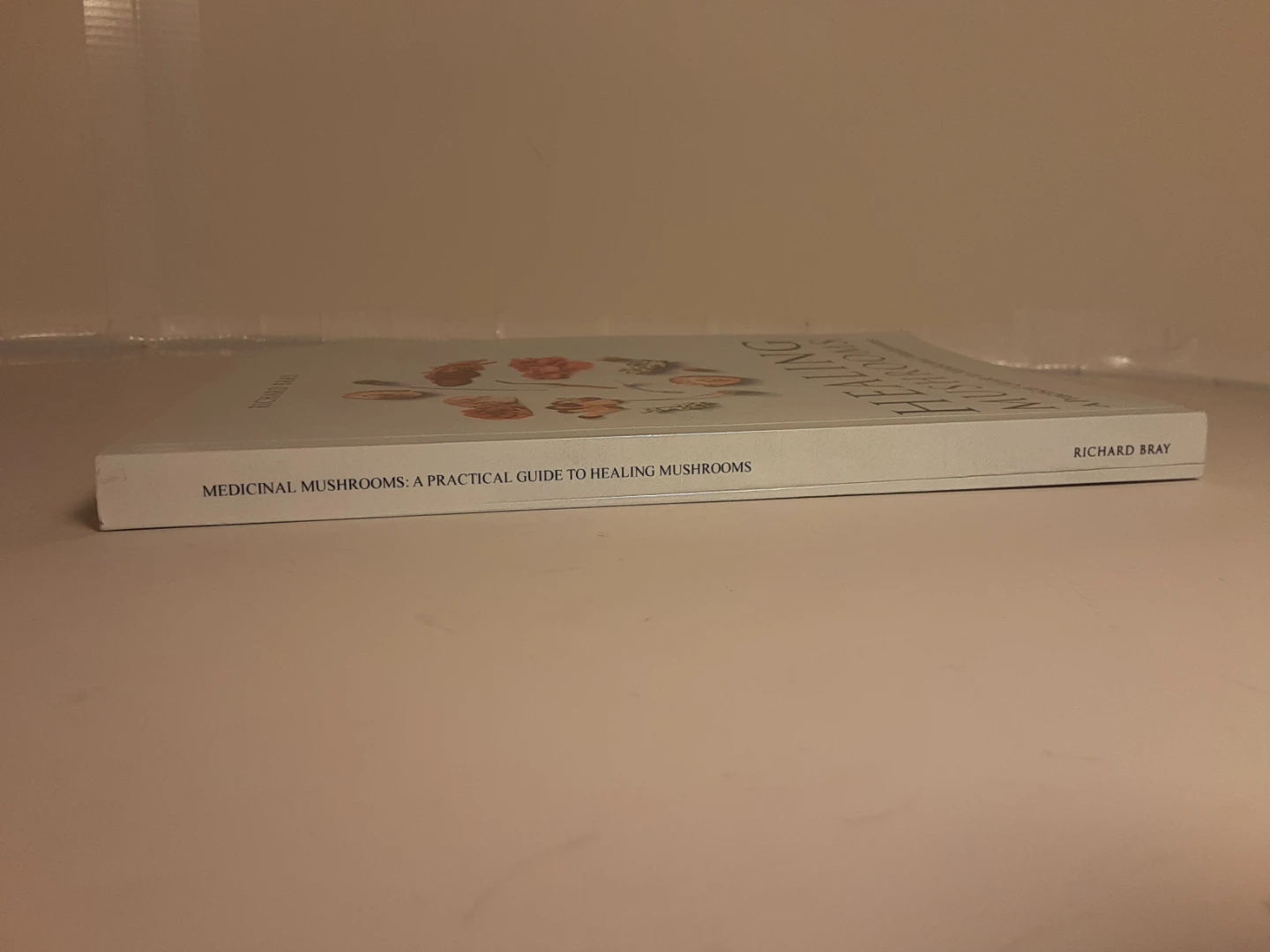 Healing Mushrooms: A Practical Guide - photo 2