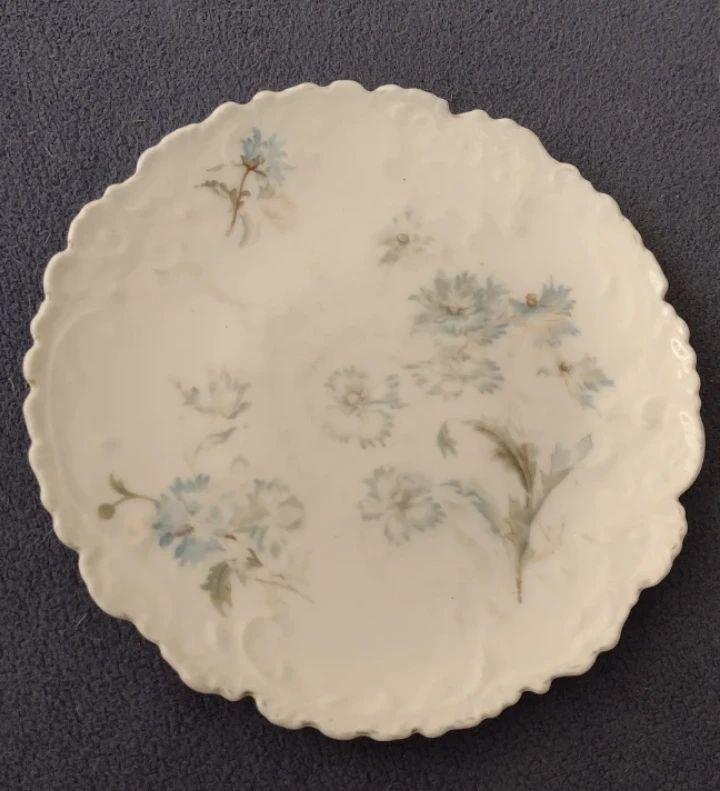 Antique Bohemia Porcelain Plates with Floral Design