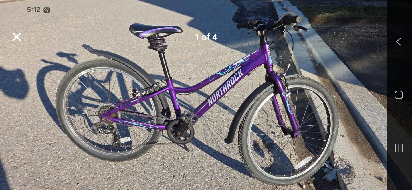 Northrock Purple Mountain Bike