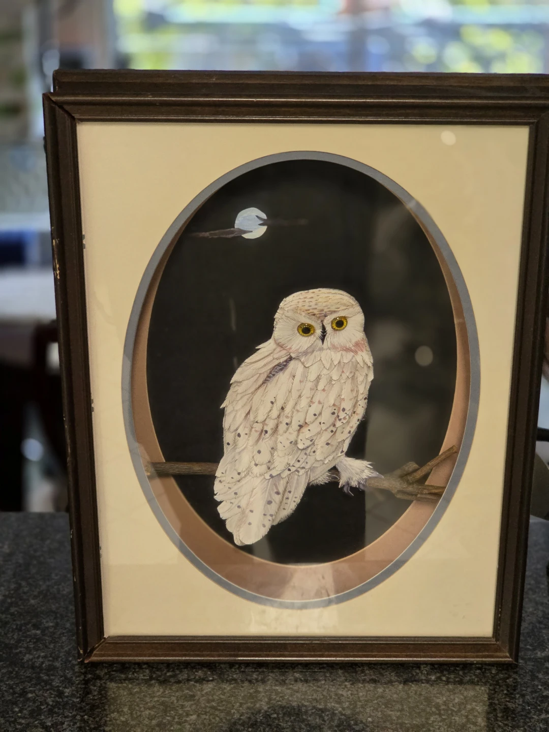 3D Paper crafted Framed Owl Art in shadow box