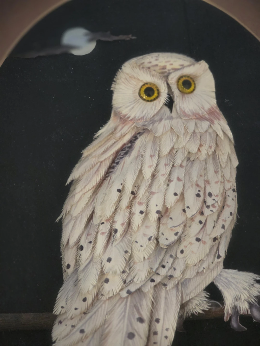 3D Paper crafted Framed Owl Art in shadow box - photo 2