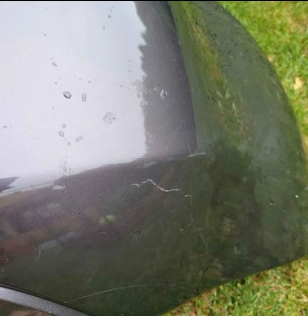370z Anniversary Rear Bumper - photo 2