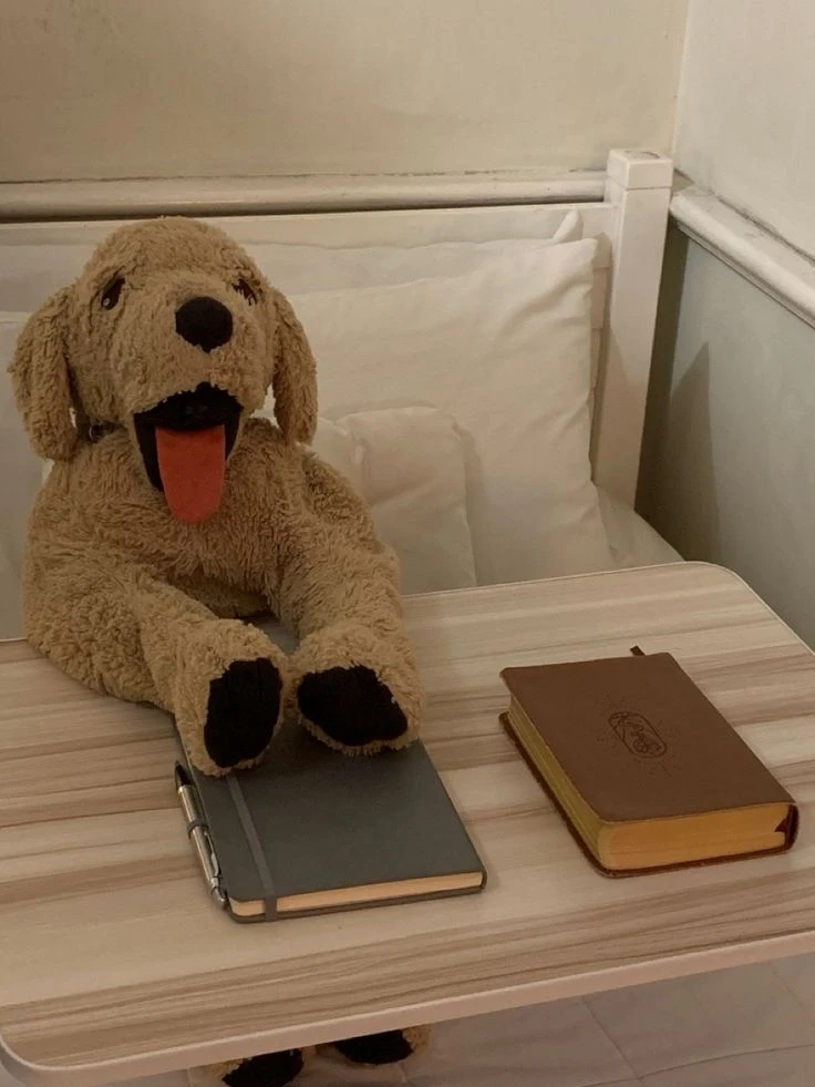 IKEA Golden Gosig (Golden Retriever Plushie) - photo 4