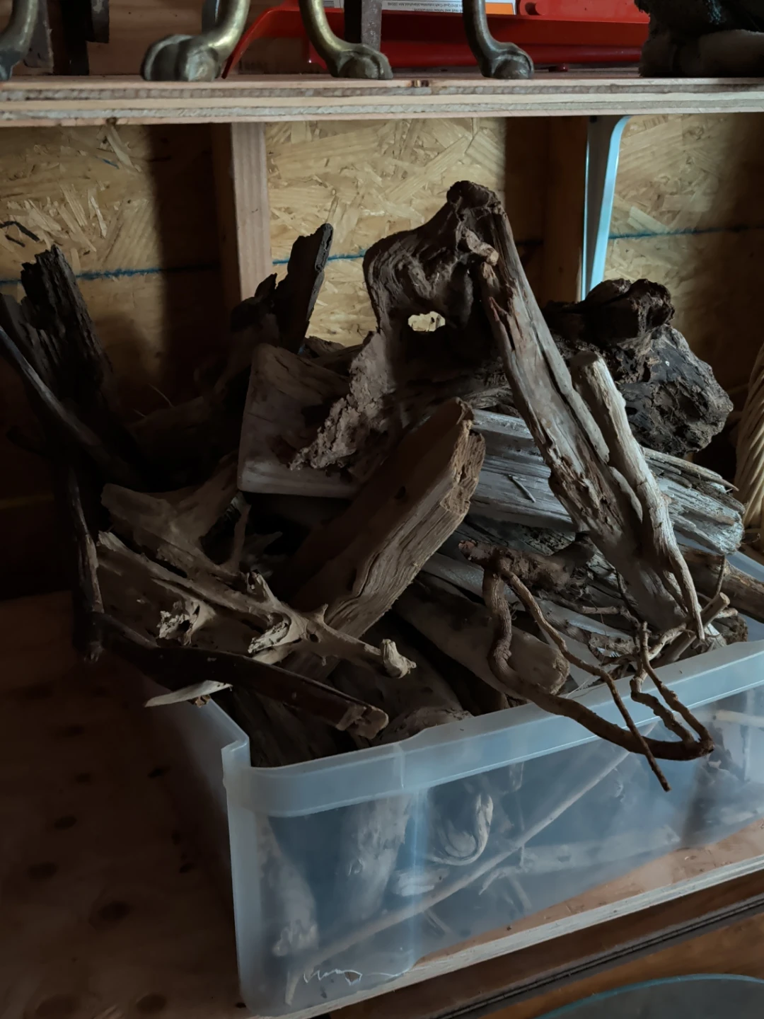 Assorted Natural Driftwood Pieces