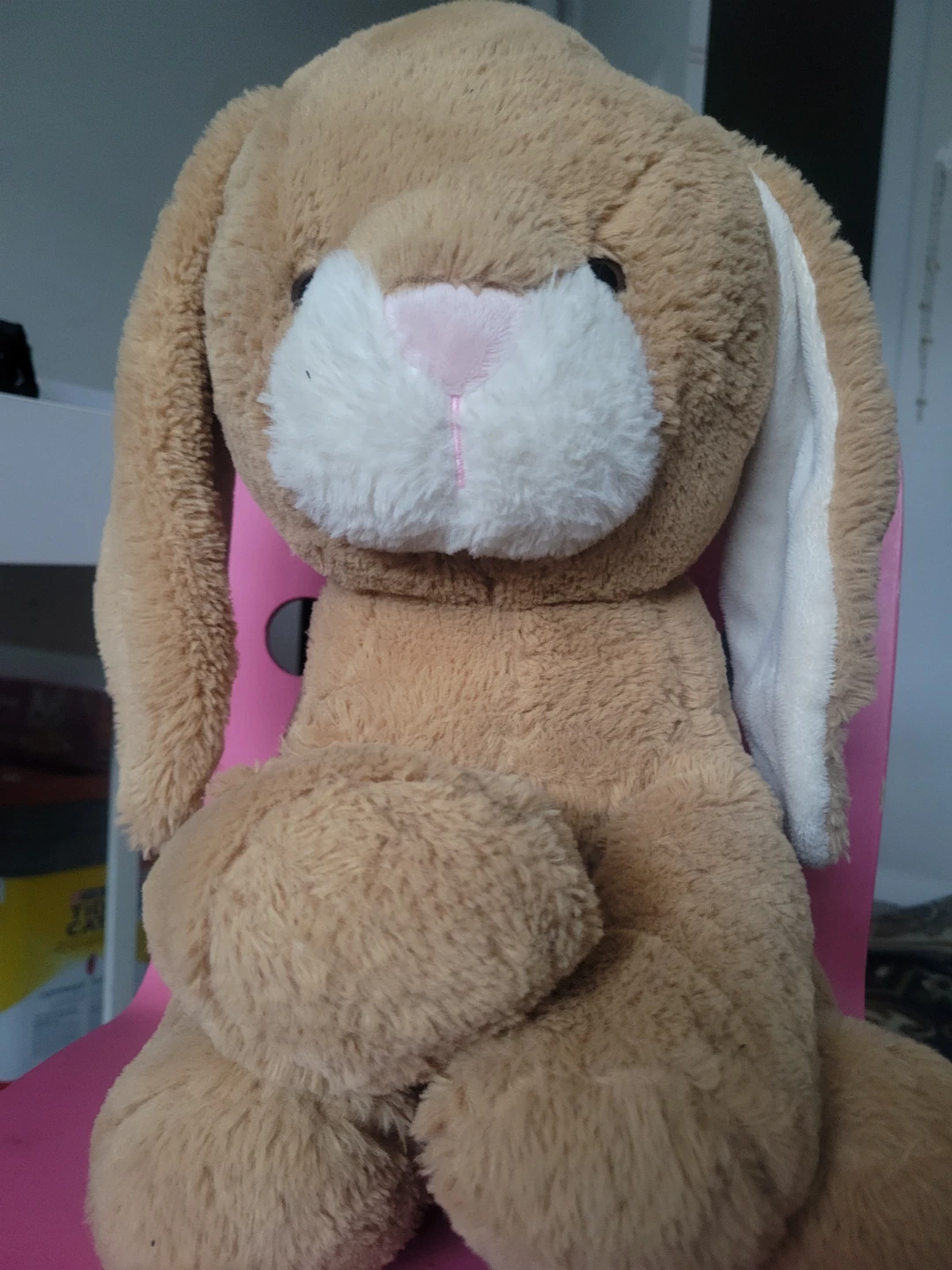 Brown Plush Bunny