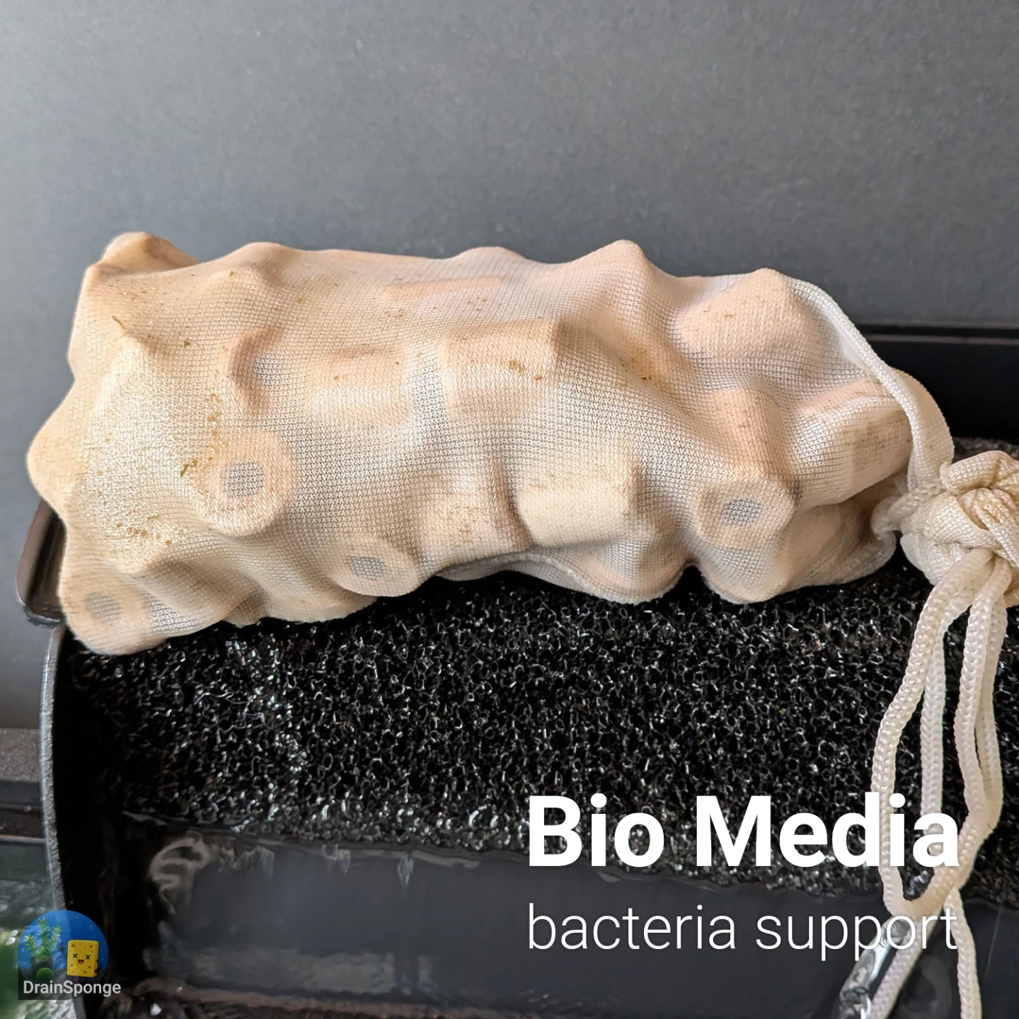 🦠 Seeded Ceramic Bio Media – Ready to Use, 4+ Weeks Established - photo 3