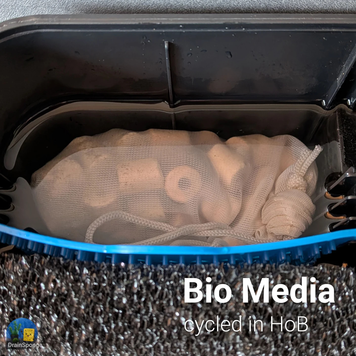 🦠 Seeded Ceramic Bio Media – Ready to Use, 4+ Weeks Established - photo 4