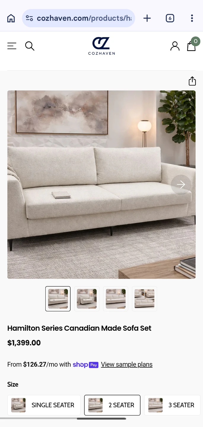 Light Grey Modern Sofa (Cozhaven Hamilton Series) - Moving Sale! - photo 3