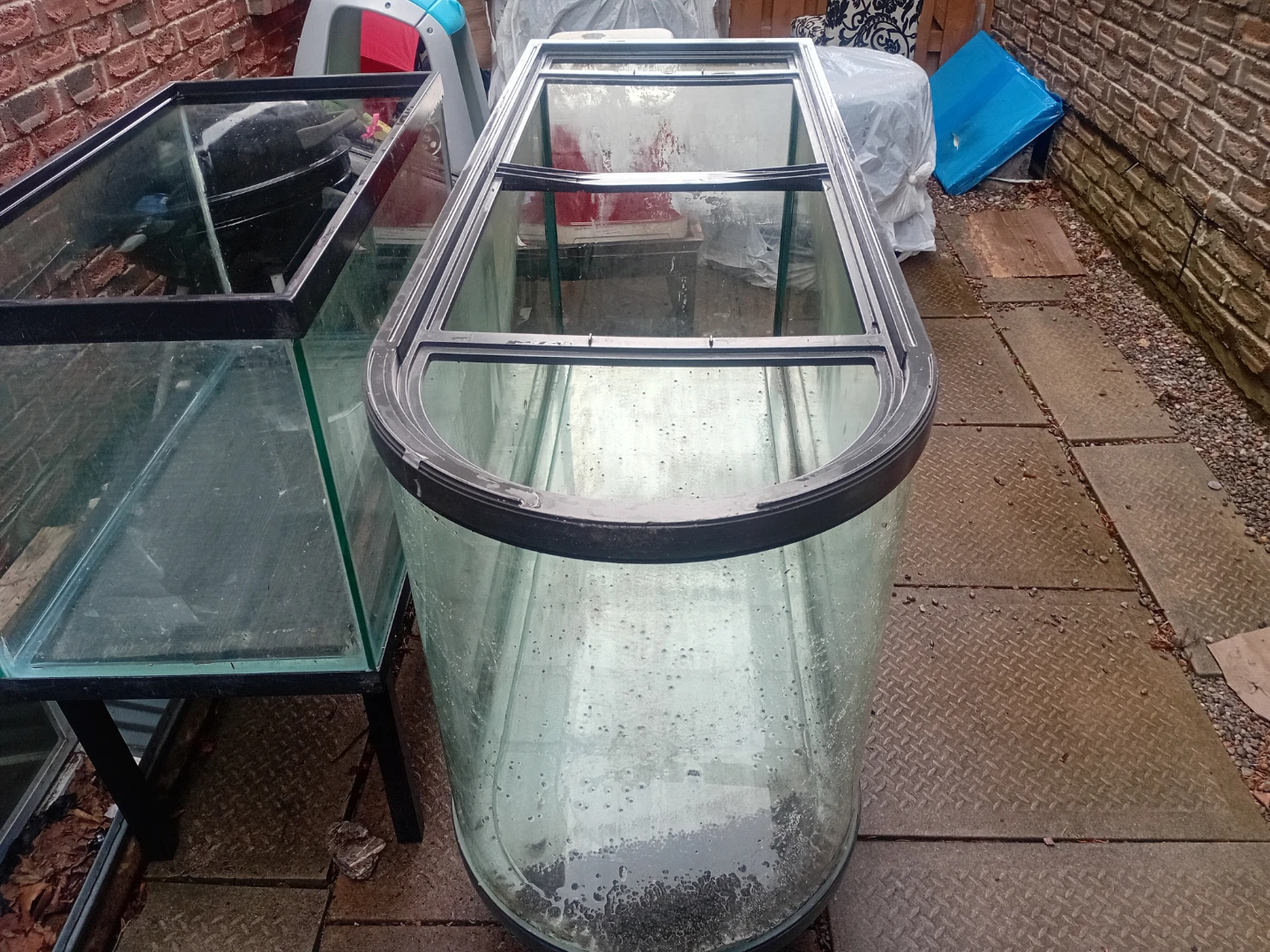 Curved Front Aquarium Tank - photo 5