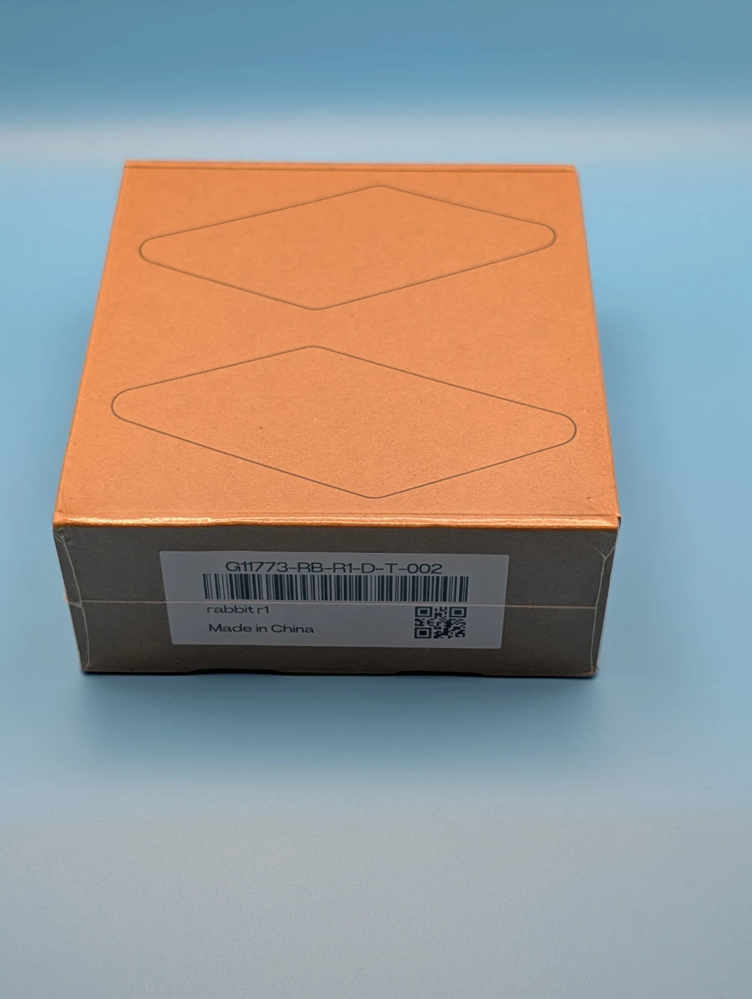 Rabbit r1 AI Companion - photo 3