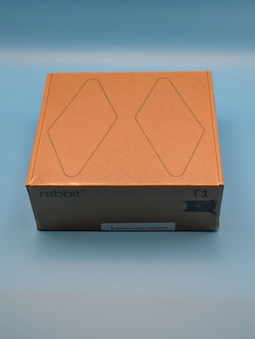 Rabbit r1 AI Companion - photo 4