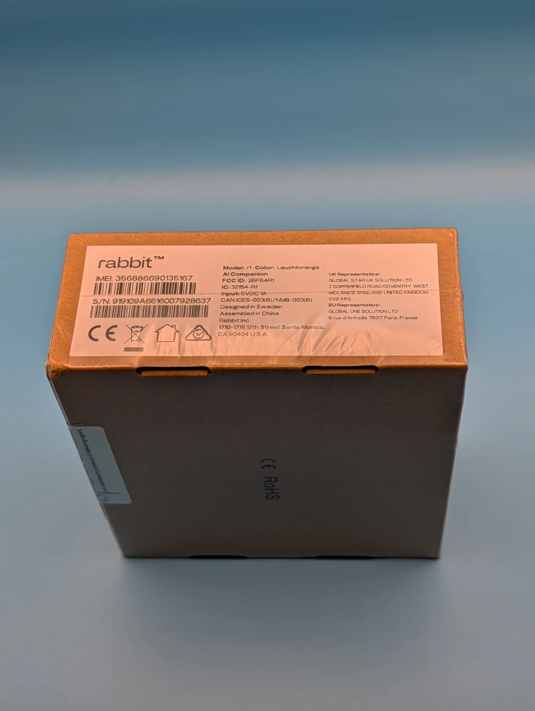 Rabbit r1 AI Companion - photo 5
