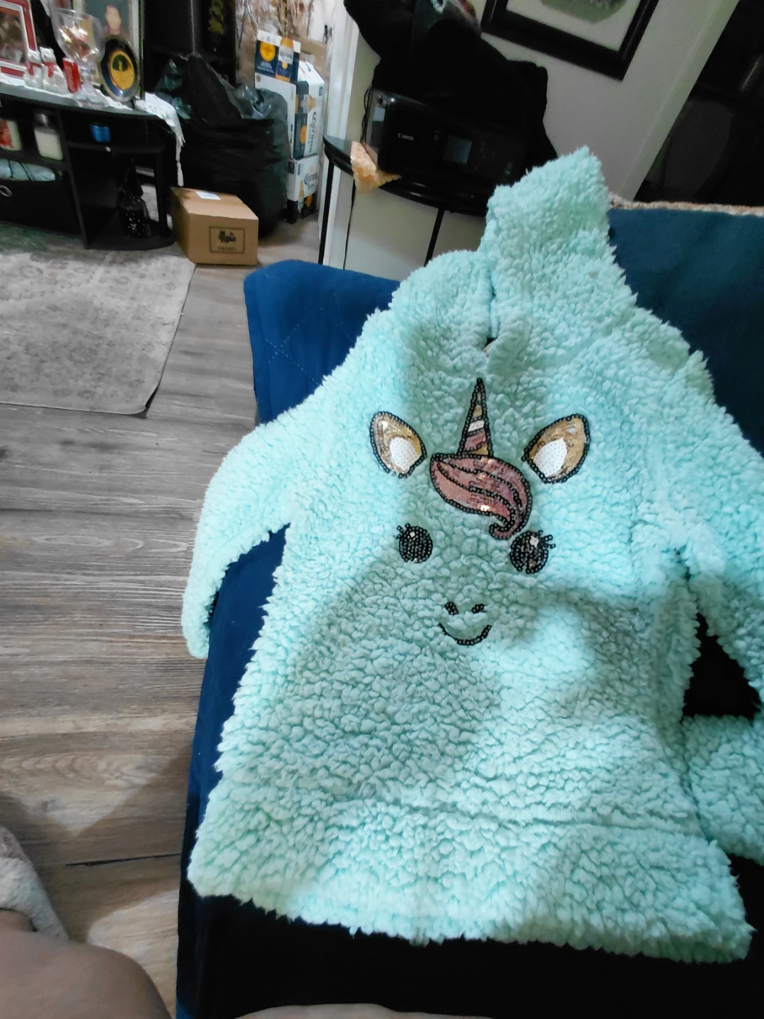 Kids Fuzzy Unicorn Hoodie