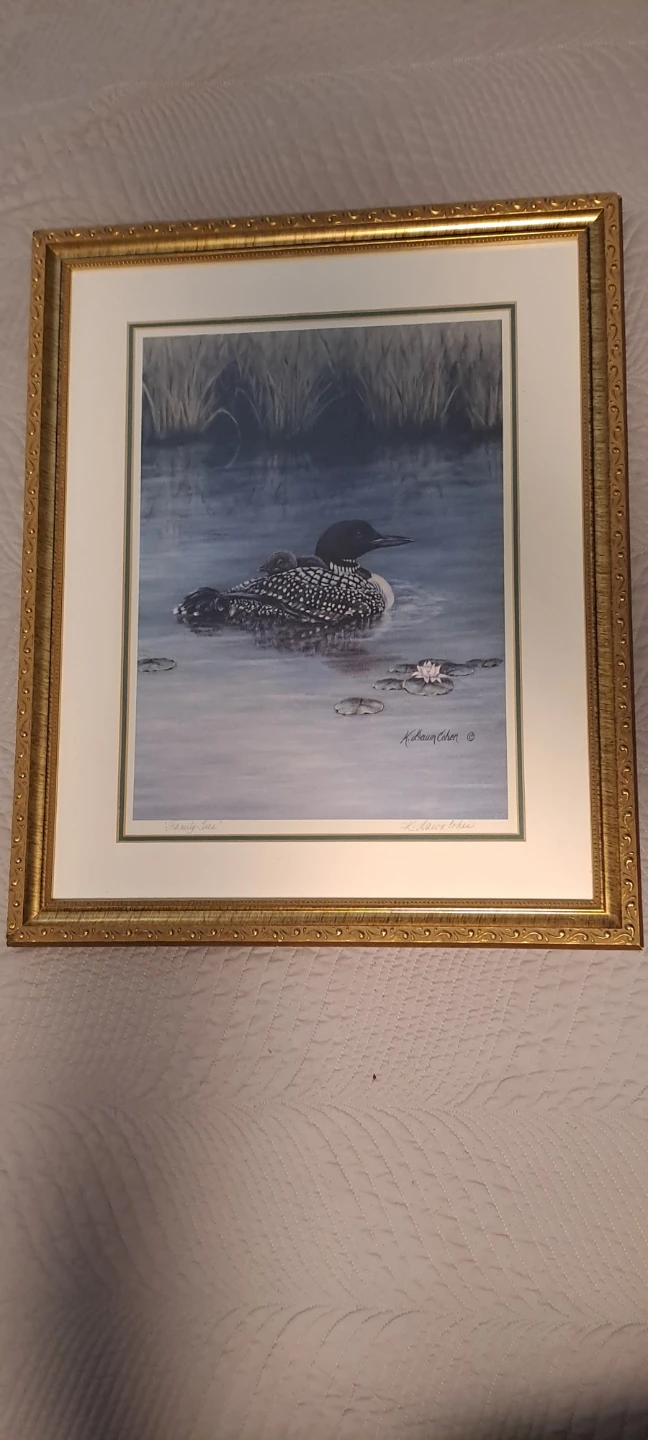 Framed Art Print by K. Dawn Cohen - Loon with Chick