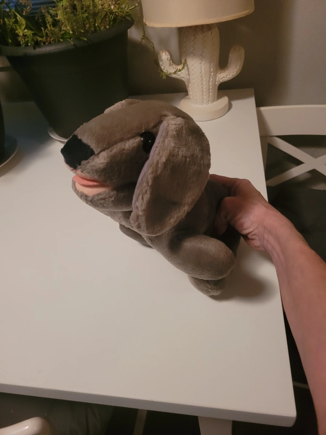 Extremely rare Finnegan Stuffed Dog Plush Toy - photo 5
