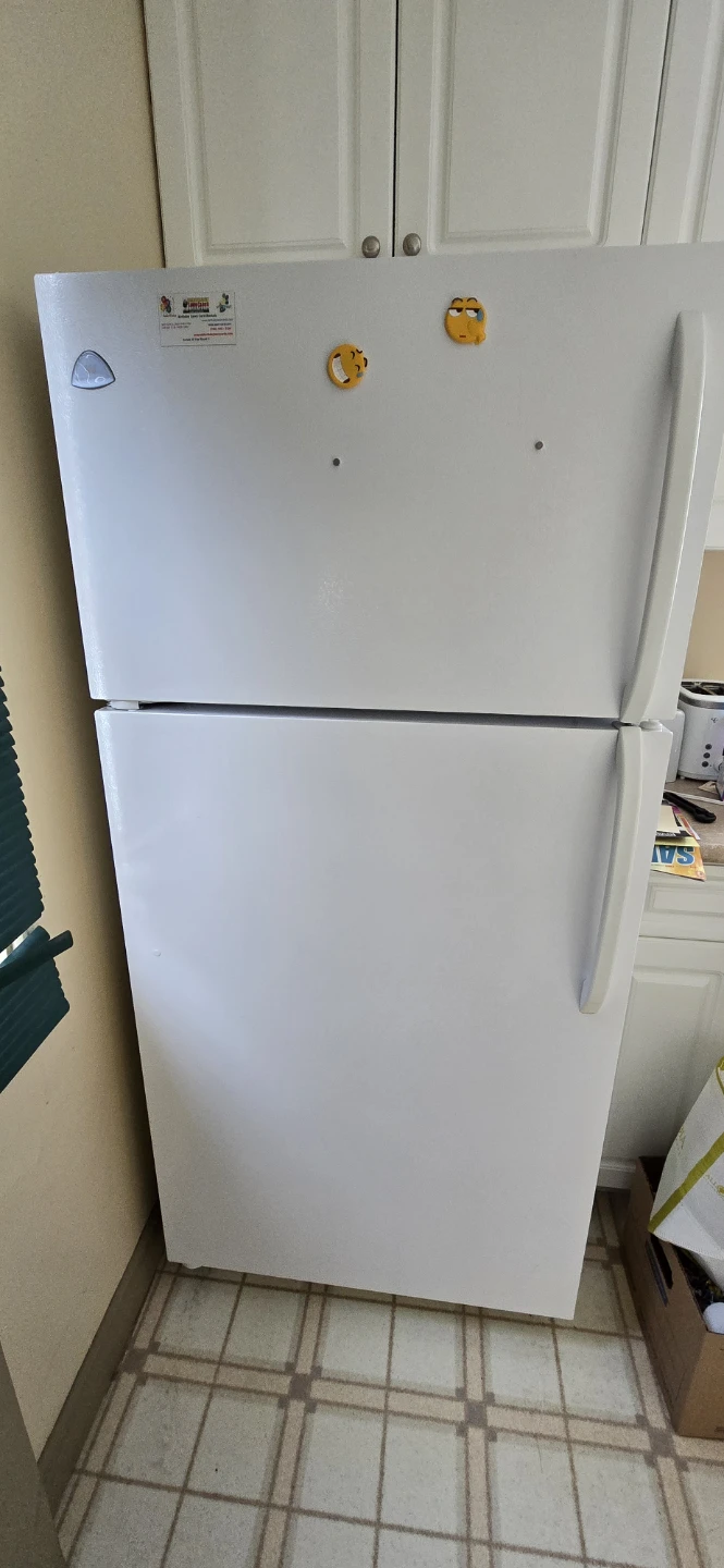 Standard white fridge