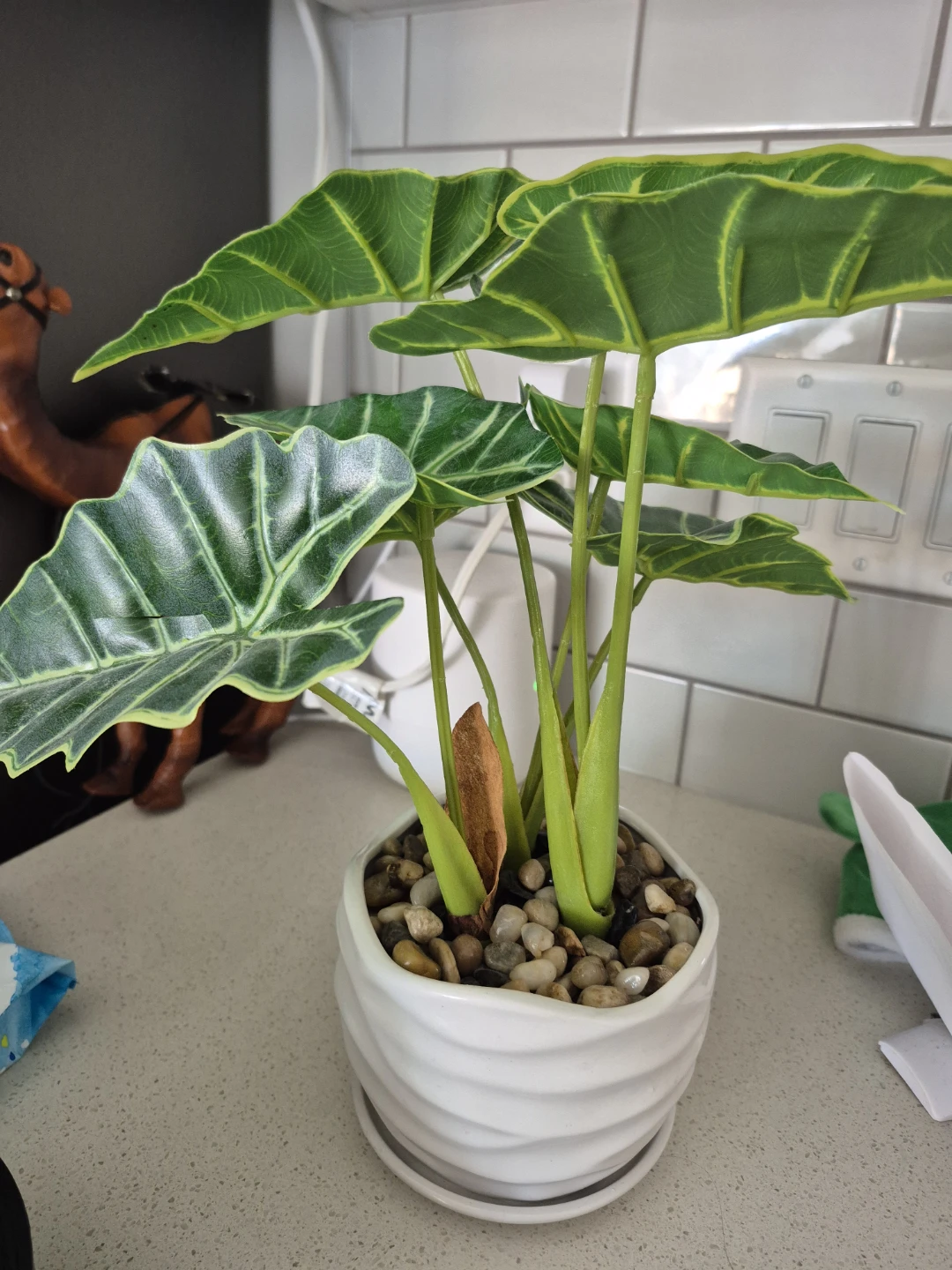 Artificial Elephant Ear Plant in White Pot