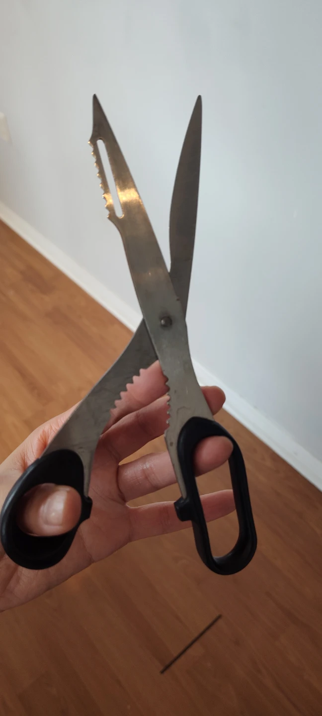Kitchen Shears with Serrated Edge