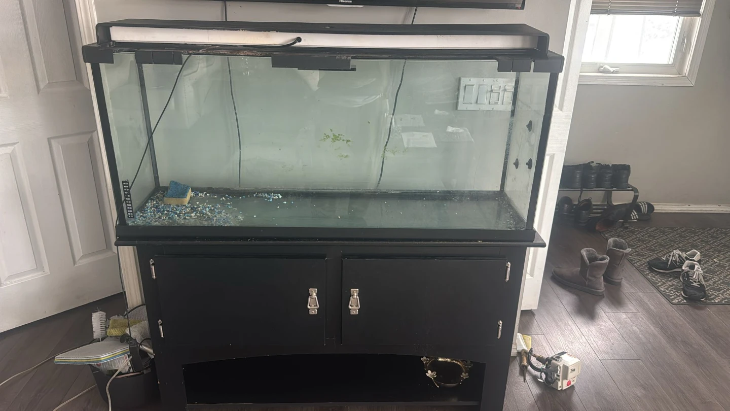 Large Aquarium with Stand