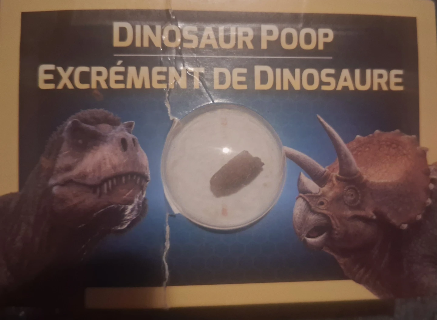 Dinosaur Poop - Small Educational Toy