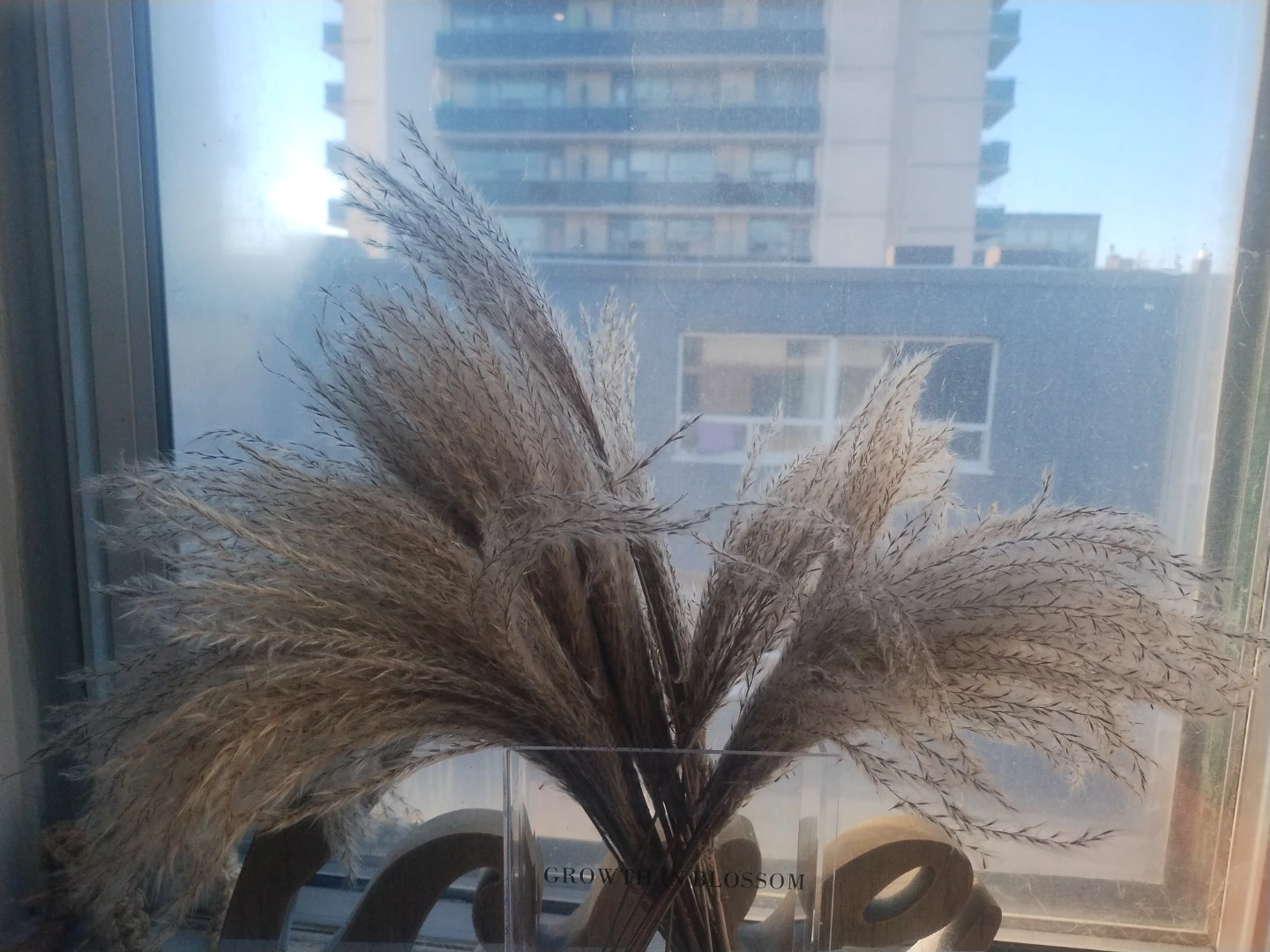 Dried Pampas Grass Arrangement